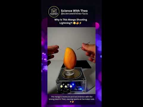 Live Tesla Coil Experiments | @sciencewiththeo-facts ⚡ #TheosLightning