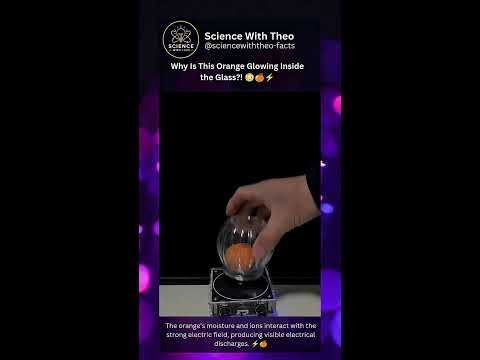 Live Tesla Coil Experiments | @sciencewiththeo-facts ⚡ #TheosLightning